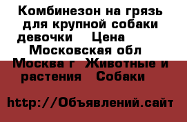 Комбинезон на грязь для крупной собаки-девочки  › Цена ­ 999 - Московская обл., Москва г. Животные и растения » Собаки   